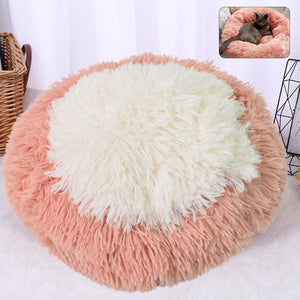 Indoor Dog Bed for Cats (50×50×13 Cm / Big)