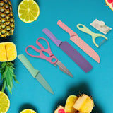 Professional Colorful Kitchen Knives Set (6 Pcs Set)