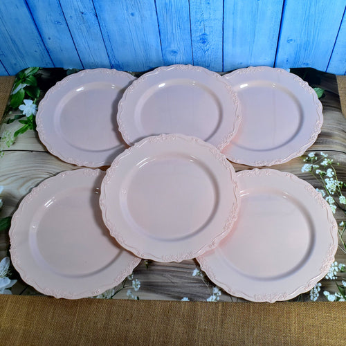 Plastic Dinner Plates Wedding Birthday Party Tableware Supplies (6 Pcs Set)