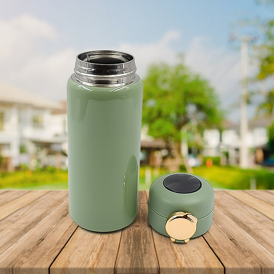 Stainless Steel Water Bottle (450 ML)