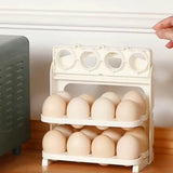 Plastic Foldable Egg Tray | 24 Grid Egg Storage Box (1 Pc)