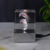 3D Dolphin LED Light, Desk Decor, LED Light Base, USB Charging (1 Pc)