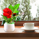 4863 Artificial Rose Flower Plant With Pot For Home Office Or Gift