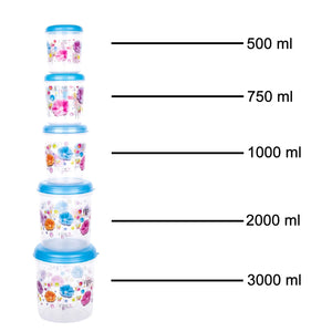 2446 Plastic Transparent Container Air Tight Dabba Set (3000ml 2000ml 1000ml 750ml 500ml)