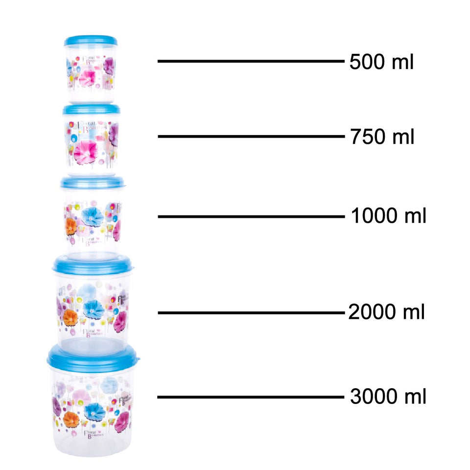 2446 Plastic Transparent Container Air Tight Dabba Set (3000ml 2000ml 1000ml 750ml 500ml)