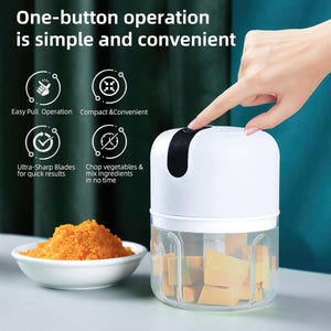 Wireless Usb Rechargeable Mini Electric Garlic Machine  Chopper 3 Blades (250ml)