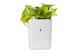 3858 Plastic Vertical Hanging Planter Pot Multicolour