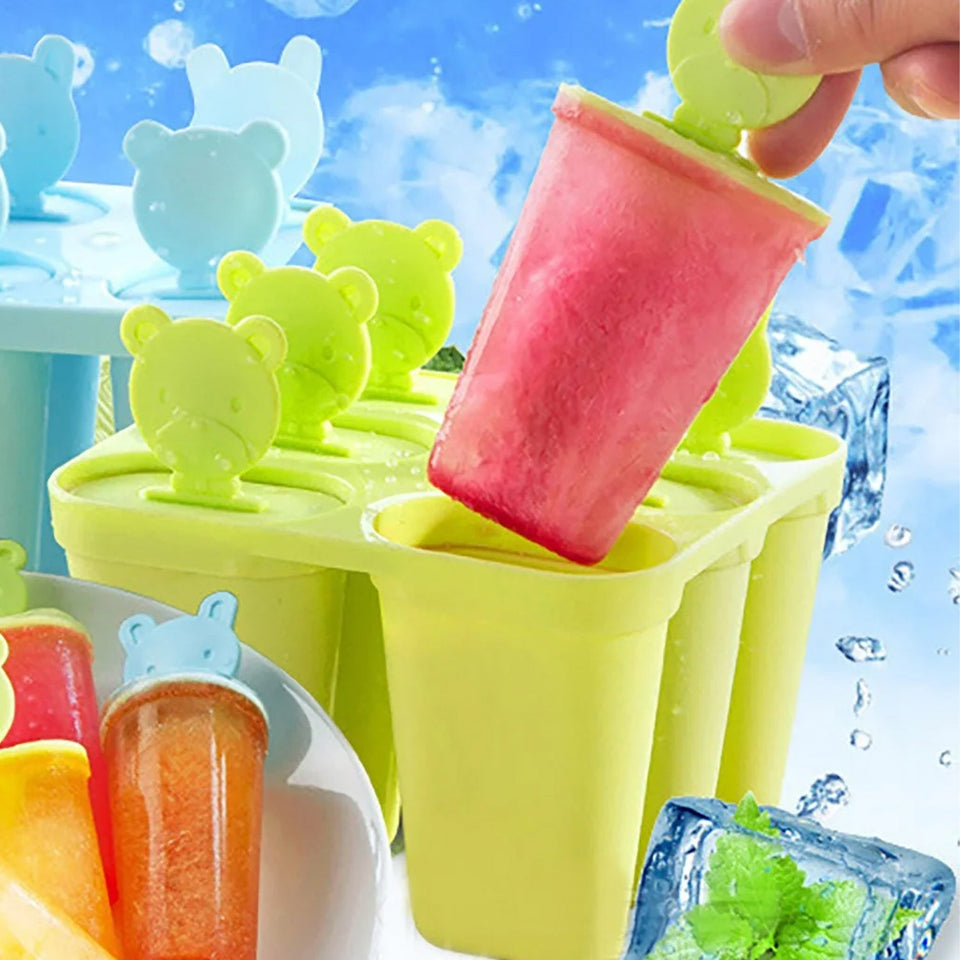 Plastic 6 Grid / Compartment Popsicle Ice Cream Mold (1 Pc)