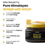 Himalayan Shilajit Gold Resin  20g  Helps Improve Stamina  Contains Gold